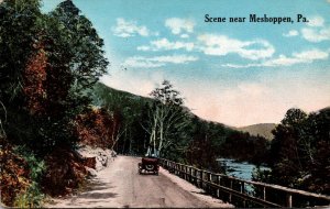 Pennsylvania Meshoppen Country Road Scene 1917