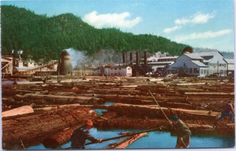 Lumber Mill, Redwood Empire California postcard