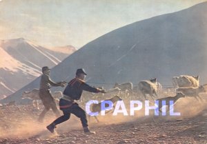 Postcard Modern Renskiljning Sweden Rennes