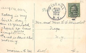 Catskill Mts Pine Hill, New York NY