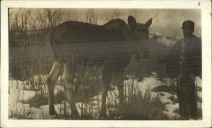 Wainwright Alberta Studio & Cancel - Man Feeding Moose Real Photo Postcard