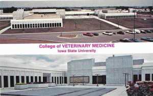 Iowa State University College of Veterinary Medicine Ames Iowa