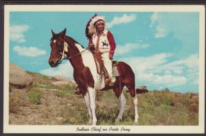 Indian Chief on Pinto Pony Postcard