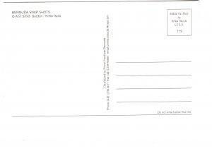 Multiview, Bermuda Snap Shots, Lighthouse, Seagull