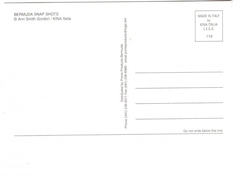 Multiview, Bermuda Snap Shots, Lighthouse, Seagull