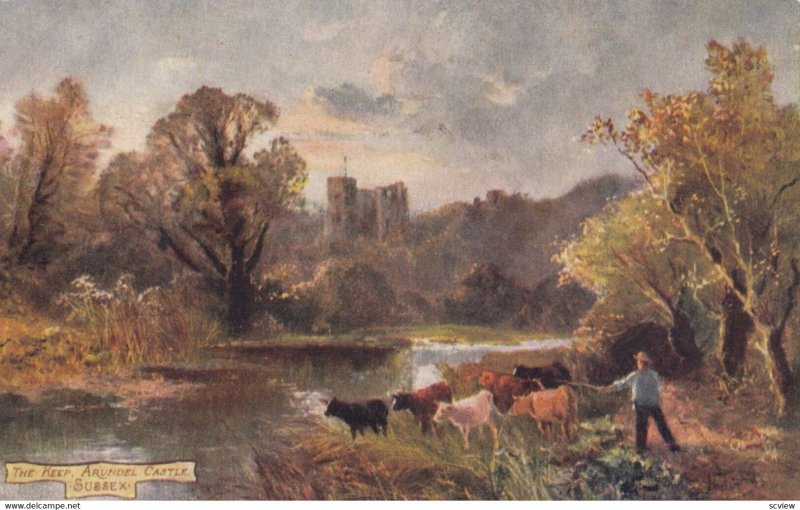 ARUNDEL Castle, Sussex, England, 1900-10s; TUCK 7409