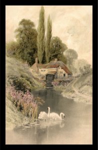 c1900 Swans Lake Cottage Floral Painting Undivided Back Postcard  276