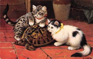 Kittens With Turtle Turtles Unused 