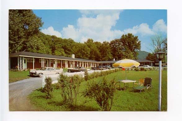 Roscoe NY Roscoe Motel Old Cars Postcard