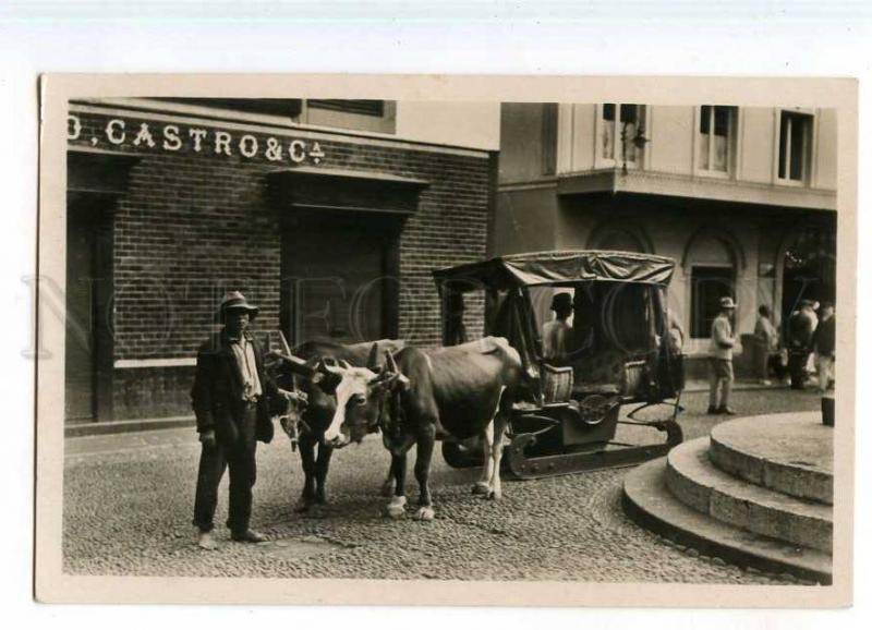 247779 NORDDEUTSCHER LLOYD PORTUGAL MADEIRA bullo cart photo