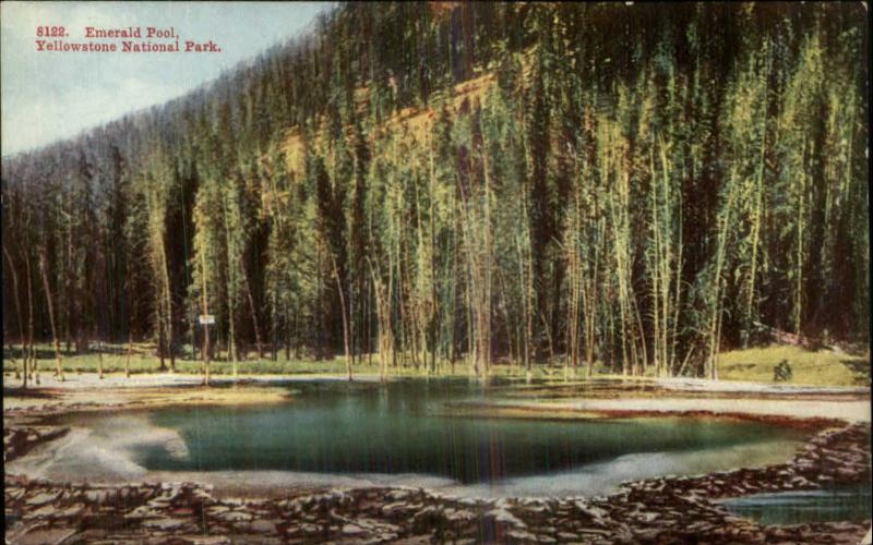 Yellowstone - Emerald Pool c1910 Postcard