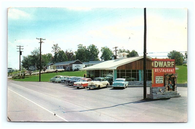 Postcard TN Knoxville Dwarf Restaurant 1950's Cars French Broad Ice Cream H05