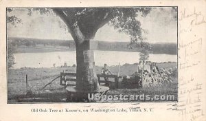 Old Oak Tree at Kaese's - Yulan, New York NY  