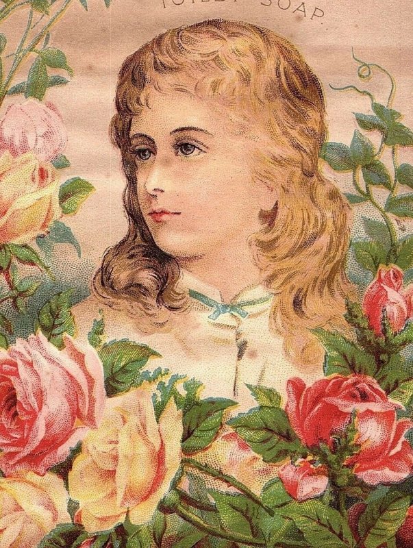 1870's Lovely Lady Buchan's Carbolic Toilet Soap Roses Victorian Trade Card &R