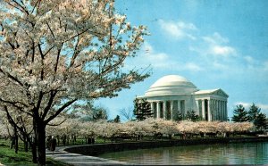 Washington D C Jefferson Memorial At Cherry Blossom Time 1956