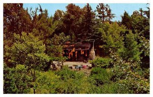 Postcard AMUSEMENT PARK SCENE Anaheim California CA AS5635