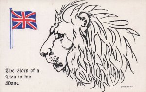 Glory Of A Lion Is His Mane British Patriots Flag Antique Postcard