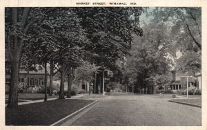 Market Street Home Road & Forest Trees Landmark Winamac Indiana IN Postcard