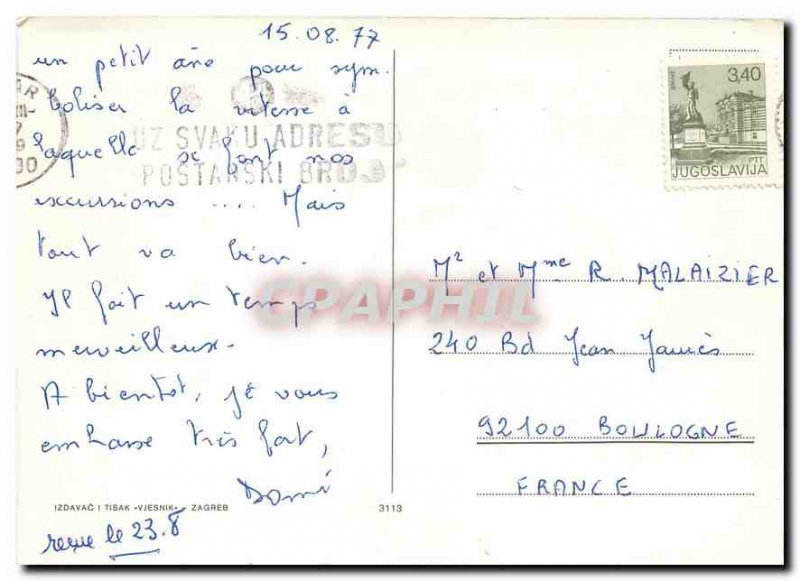 Modern Postcard Donkey Mule