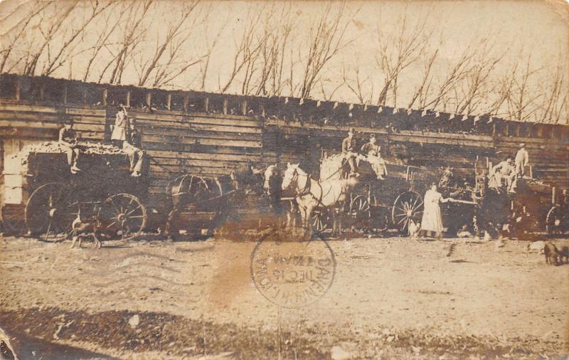 Collins Iowa~Farm Family~Crops Full Horse Wagons~Chicken Coop~Pigs~1908 RPPC 