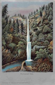 Multinomah Falls Oregon 1905c postcard