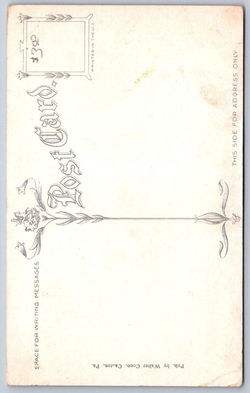 K27/ Canton Pennsylvania Postcard c1910 Cedar Ledge Geology 436