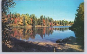 Fall Colours, Greetings From Dauphin, Manitoba, Vintage 1962 Chrome Postcard