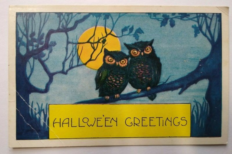 Halloween Postcard Whitney 2 Owls Vintage Original Blue Background Greetings