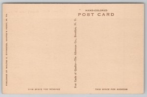 Chimney Rock Harpers Ferry WV Hand Colored Postcard P21