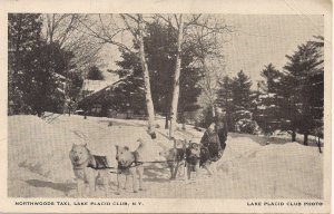 Lake Placid NY, Dog Sled, Club Photo, Winter Scene, Northwoods Taxi, ca. 1940