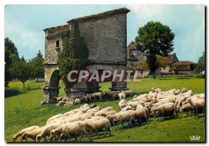 Modern Postcard A Dovecote Sheep