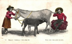 Vintage Postcard 1910's Nursing Baby Horse from Mother Ring Off The Line Is Busy