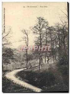 Old Postcard In Limousin Sous Bois