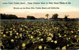 Ohio Toledo Lotus Field Toledo Beach 1914