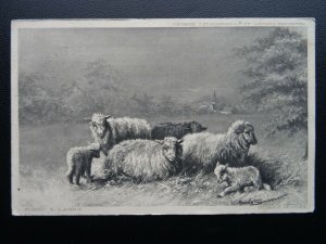 SHEEP & LAMBS Farming & Country Life by Artist Maude Scrivener - Old Postcard