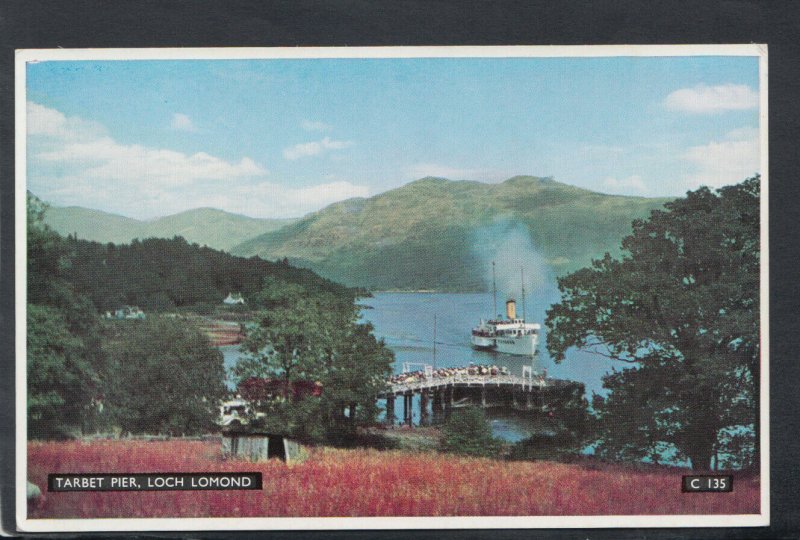 Scotland Postcard - Tarbet Pier, Loch Lomond     T7281