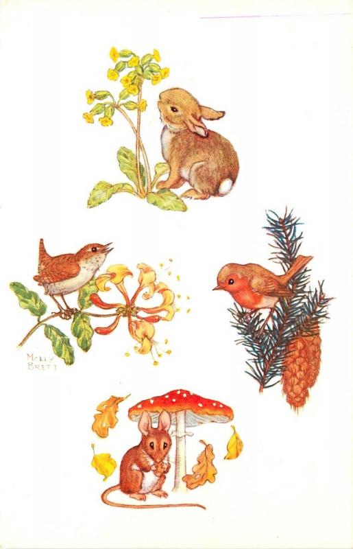 Medici Postcard Pk 416 A/S Molly Brett Animals Rabbit, Robin, Mouse & Wren