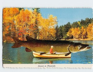 Postcard Success in Minnesota