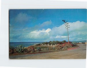 Postcard Picturesque La Jolla Coastline California USA