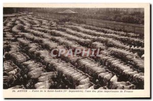 Old Postcard Autun Fair Of Saint Ladre Walking Oxen