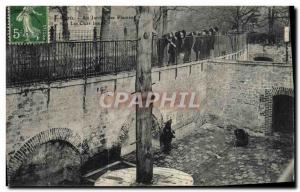 Old Postcard Bear Paris Jardin des Plantes Brown bears