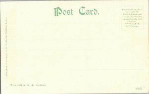 South Beach Street Palm Trees Daytona FL Undivided Back Vintage Postcard A25