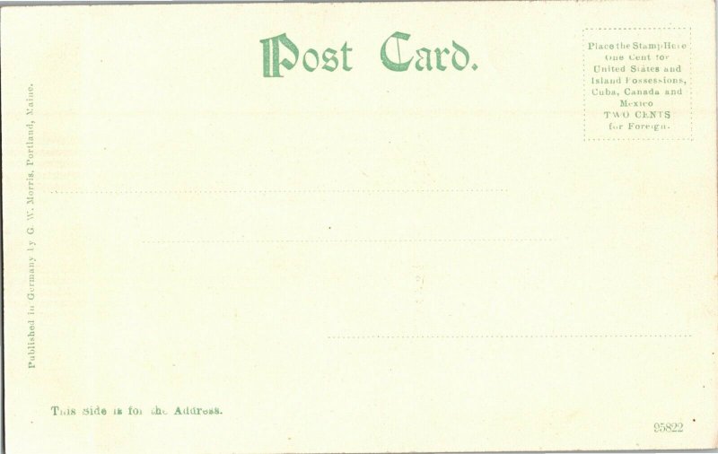 South Beach Street Palm Trees Daytona FL Undivided Back Vintage Postcard A25