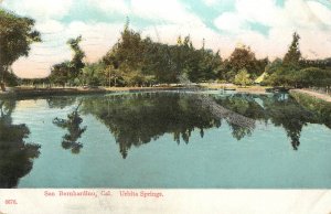 Postcard Urbita Springs Hot Springs & Amusement Park San Bernardino County CA