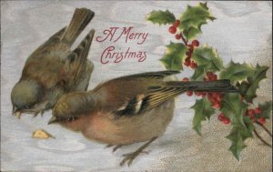 Christmas Birds Holly Embossed c1900s-10s Postcard