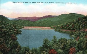 Vintage Postcard 1930's Lake Santeetlah End Great Smoky Mountain National Park