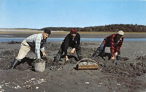 Digging for Maine Steamer Clams Five Island, Maine, USA Occupation Unused 