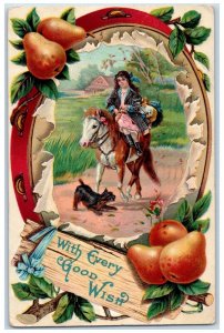 1911 Good Wish Woman Riding Donkey Dog Pears Embossed Peoria IL Posted Postcard