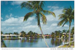 Romantic Waterway In Fort Lauderdale Florida