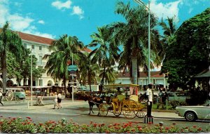 Bahamas Nassau Downtown Sightseeing Carriage At Rawson Square